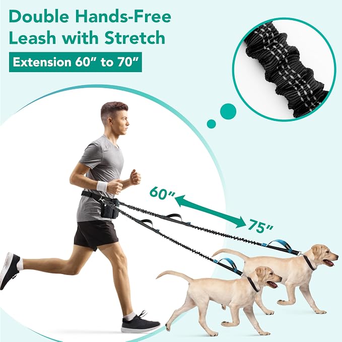 Double retractable dog leash with two lead connections