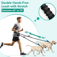Double retractable dog leash with two lead connections