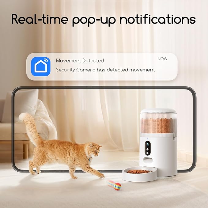 Dry food dispenser with easy fill container for cats