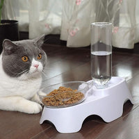 Dual Pet Bowl Set For Small And Medium Dogs And Cats