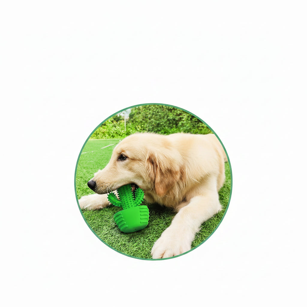 Textured Dog Toy For Daily Play And Interactive Pet Activity