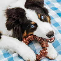 Durable dog chew toy for aggressive chewers large breed