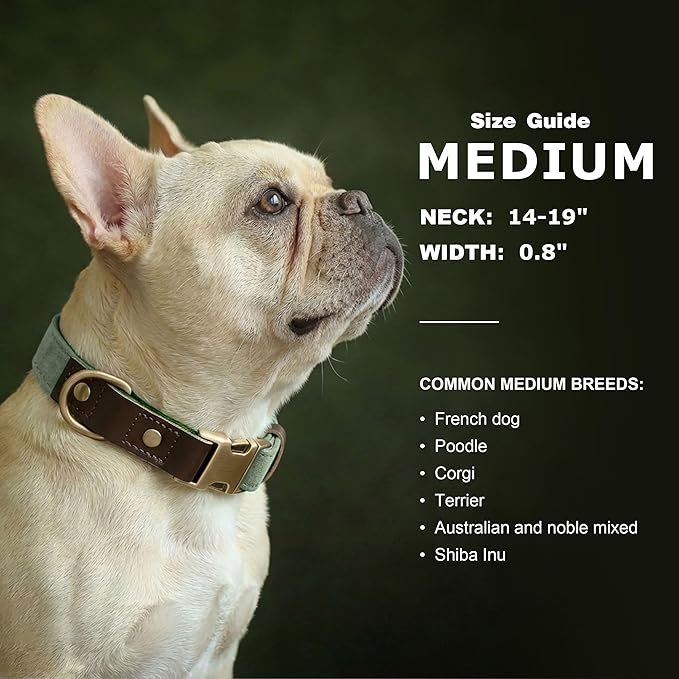 Durable PU leather pet collar for everyday use