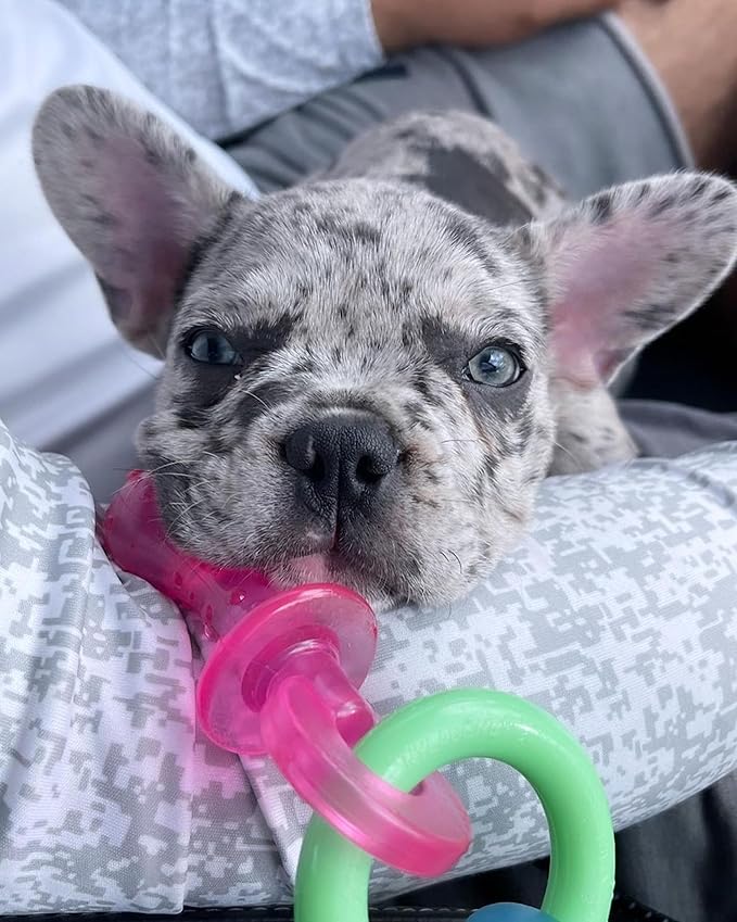Durable puppy chew toy pacifier shape easy grip
