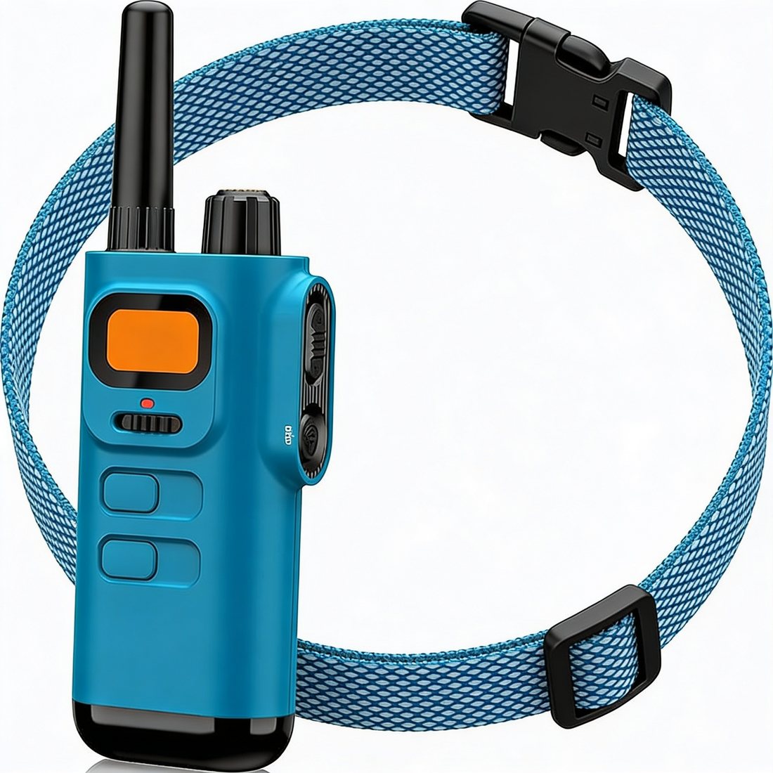 Durable collar accessory showing neat material and clean design