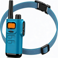 Durable collar accessory showing neat material and clean design