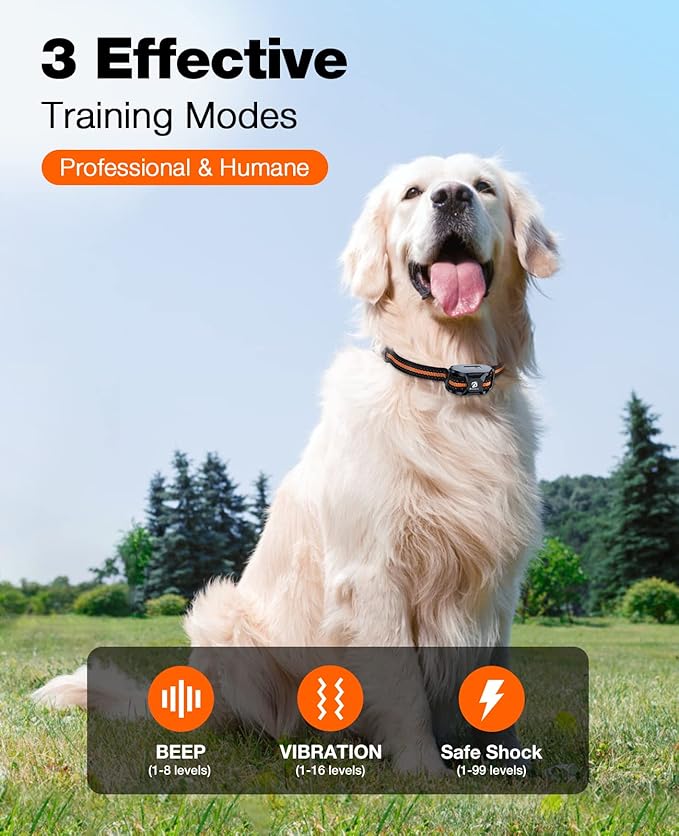 Durable collar strap for dogs with neat adjustable design