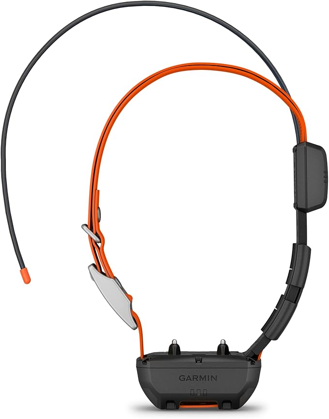 Durable dog walking collar with secure buckle closure