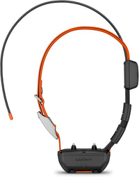 Durable dog walking collar with secure buckle closure