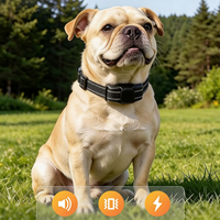 Durable pet neck strap with smooth finish for daily outdoor use