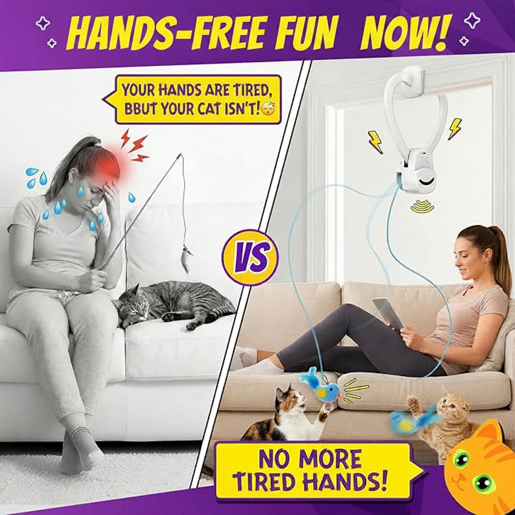 Ideal for indoor cats, kittens, and multi‑cat households
