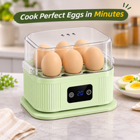 Multifunctional egg steamer shown with eggs arranged inside the cooking tray.