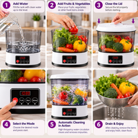 Automatic Vegetable Washer & Fruit Cleaning Machine