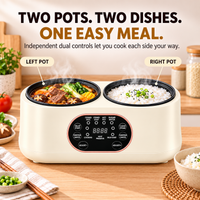 Double-Pot Multifunction Electric Cooker for Home Meals
