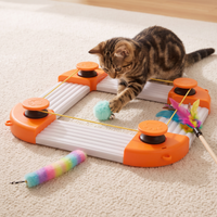 Electronic cat chaser toy for indoor play