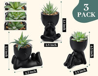 Fake Succulent Decor