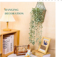 Hanging Plant