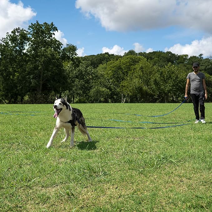 20FT Dog Leash for Outdoor Walks & Play