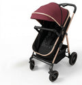 Fuchsia