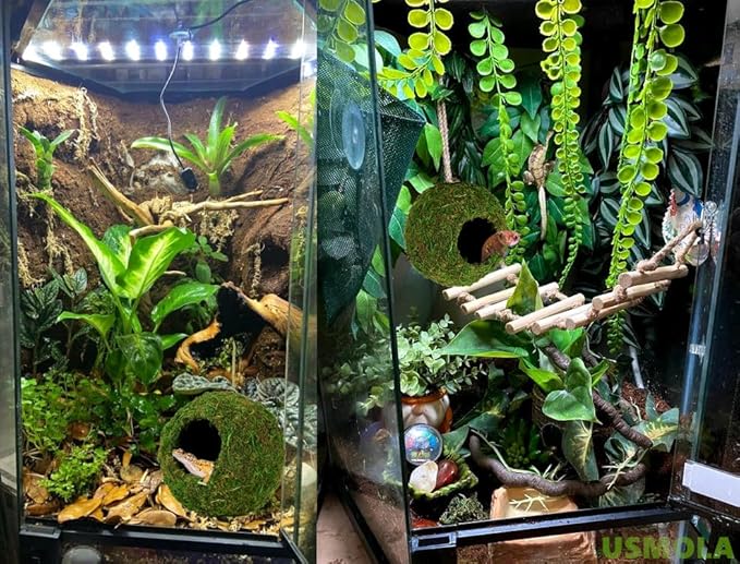 Frog Reptile Cave Decor Woodland Green Mossy Hide