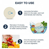 Portable Food Purifier