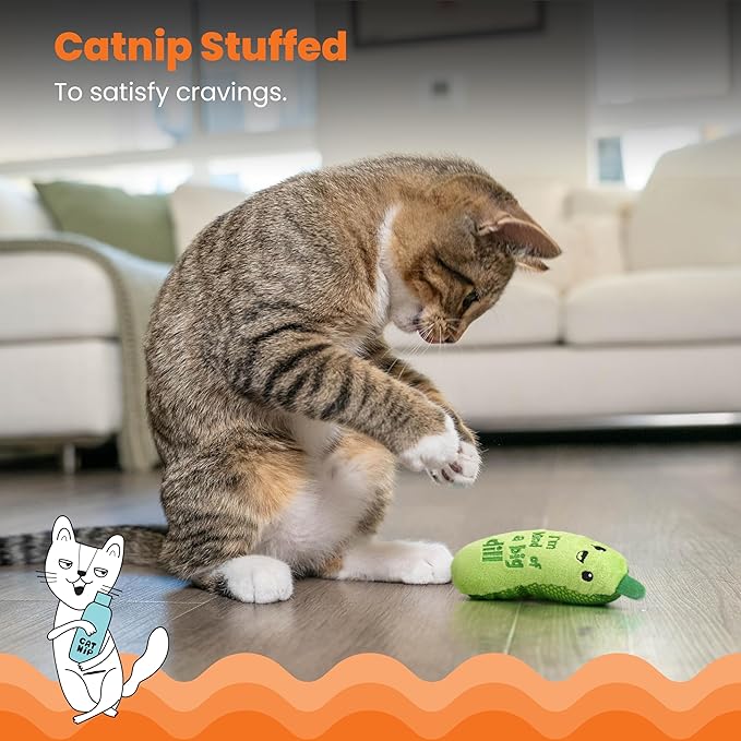6.5 Inch Indoor Cat Toy with Crinkle Sound and Catnip