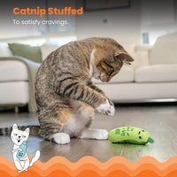 6.5 Inch Indoor Cat Toy with Crinkle Sound and Catnip