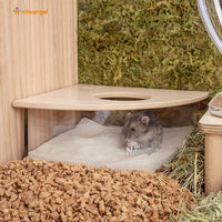 Transparent sand bath box for hamsters and gerbils