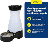 Gravity-fed water fountain for pets with removable stainless steel bowl