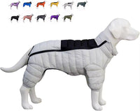 purple-dog-winter-jacket