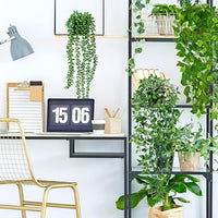 Artificial Plants