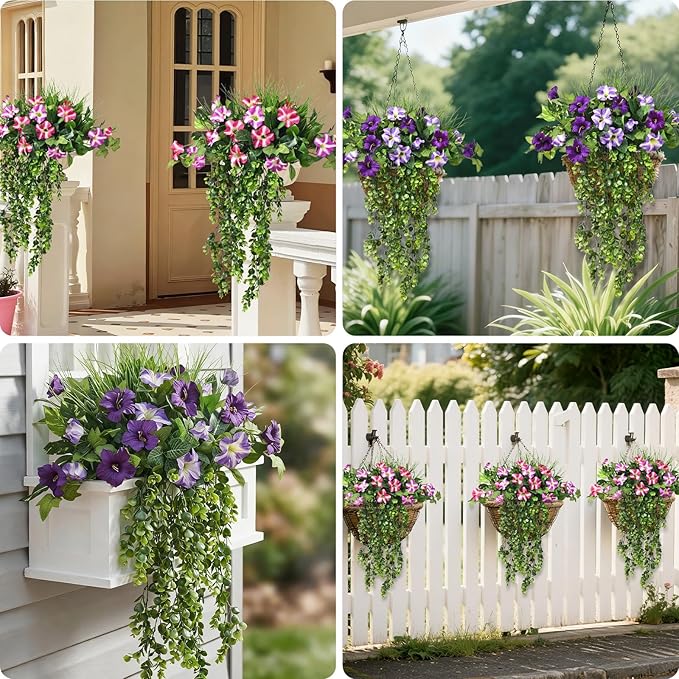 Ivy Plants