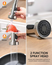 Pull Down Kitchen Faucet with Deck Plate