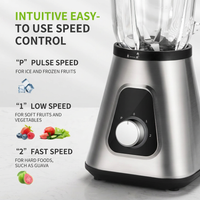 High Power Blender