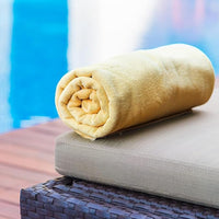 Absorbent Towels
