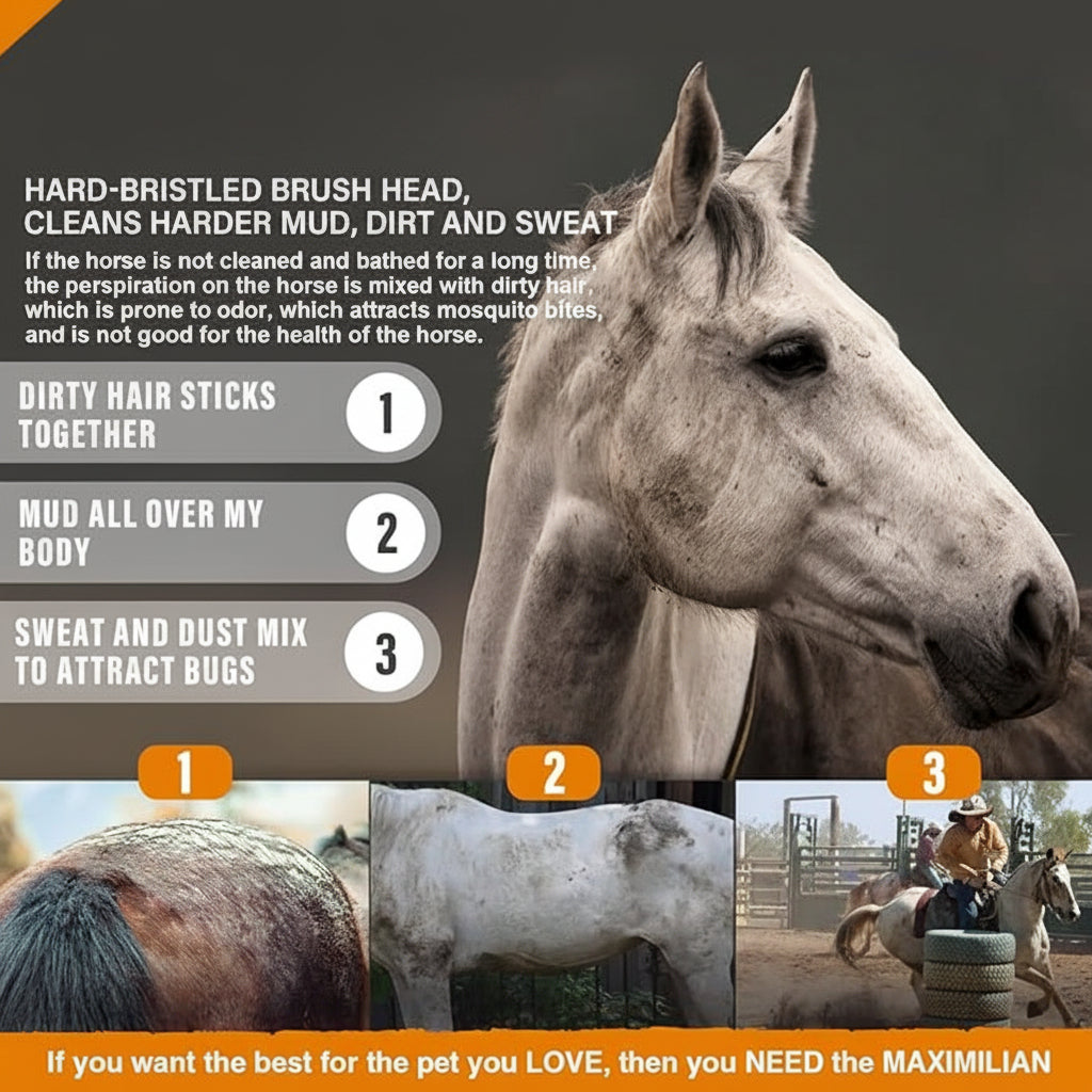Horse Body Brush With Stiff Bristles For Everyday Grooming