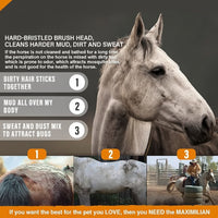 Horse Body Brush With Stiff Bristles For Everyday Grooming
