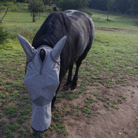 Horse fly mask with ear cover, suitable for foals, ponies, and small horses during outdoor and stable use.