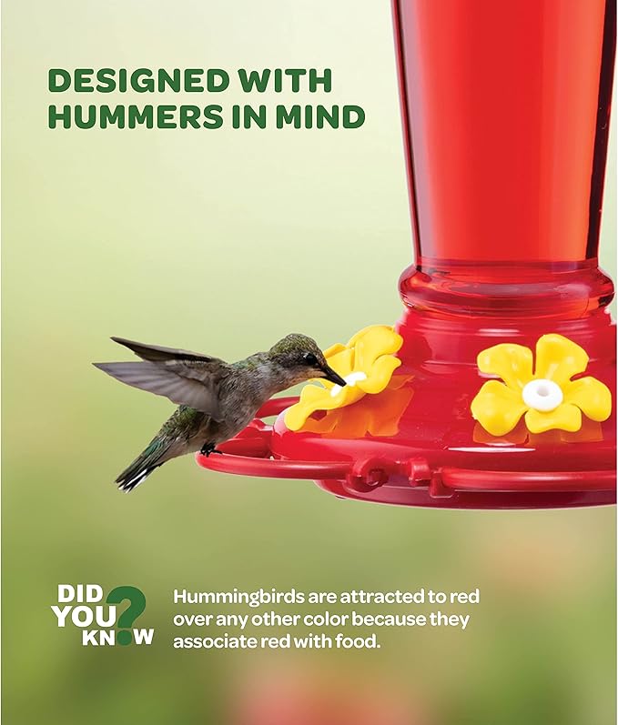 Hummingbird feeder with 5 feeding ports and circular perch design, suitable for garden, patio, yard, and balcony use.