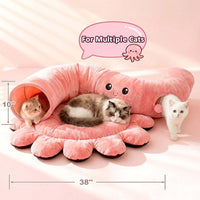 Indoor Cat Activity Tunnel With Soft Resting Area
