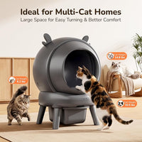 Indoor Cat Litter System With App Connectivity