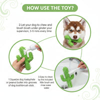 Indoor Dog Activity Toy With Textured Shape And Squeaky Feature