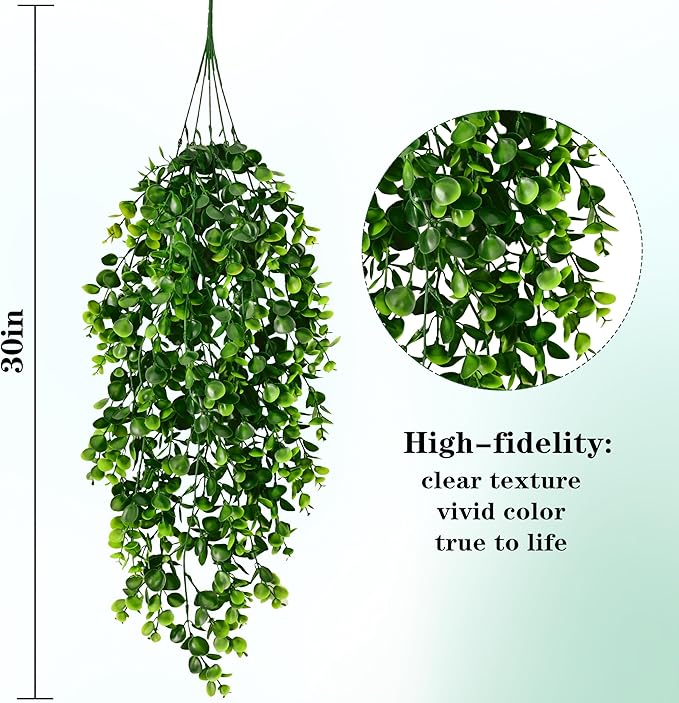 Indoor Plants