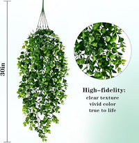 Indoor Plants