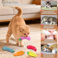 Kitten chasing green plush vegetable kicker toy
