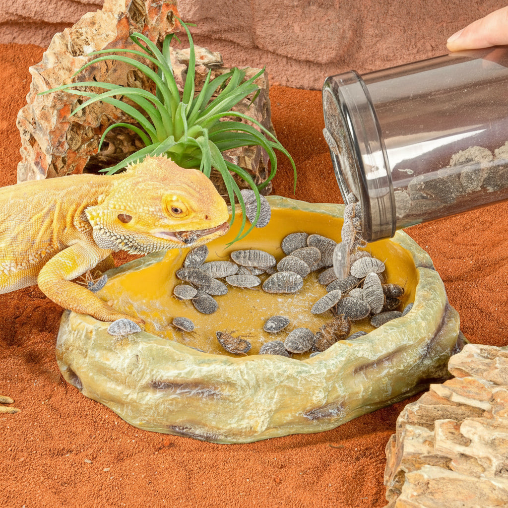 Insect Feeding Shaker Container For Reptile Habitat Care