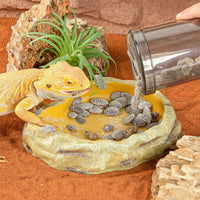 Insect Feeding Shaker Container For Reptile Habitat Care