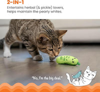 Interactive Cat Kicker Toy with Catnip and Crinkle for Playtim