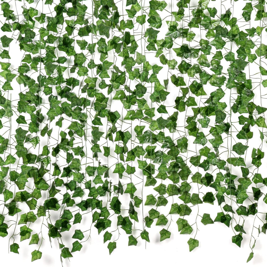 Ivy Vines