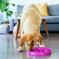 Large Pet Food Bowl With Textured Interior Design